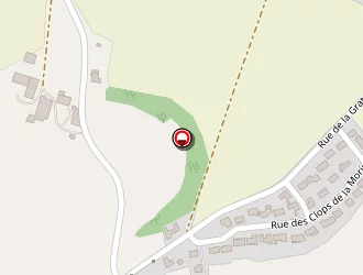 Carte de Bouriaud Marcel à Saint-maxire