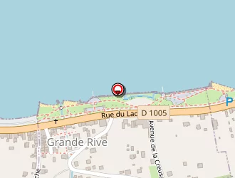 Carte de Thoueille Alain à Neuvecelle