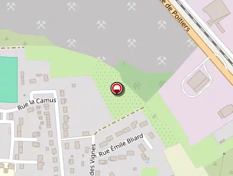 Carte de Lion Claude à Mazerolles