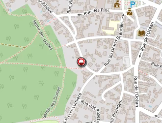 Carte de Immo-flots à Jard-sur-mer