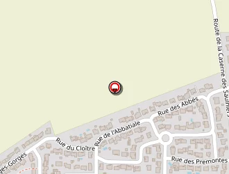 Carte de Chupin Eric à Jard-sur-mer