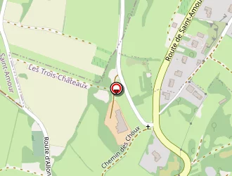 Carte de Palanchon François à Saint-amour