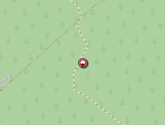 Carte de Chalet La Baumette à Lajoux