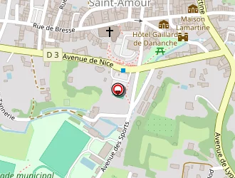 Carte de Palanchon Jean à Saint-amour