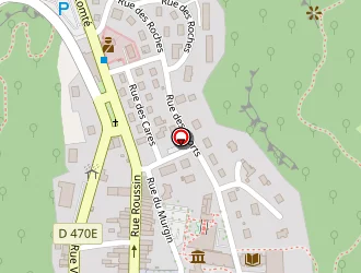 Carte de Ecole élémentaire à Moirans-en-montagne