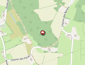 Carte de Levèque à Suin