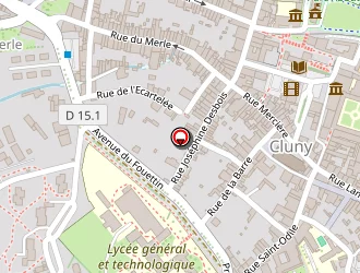 Carte de Bourgeois Patrick à Cluny