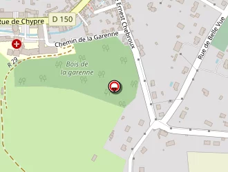 Carte de Brilleaud Romuald à Lusignan