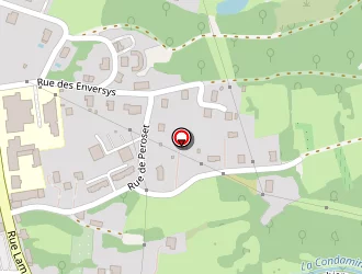 Carte de Aux Fleurs Michel à Saint-amour