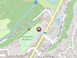 Carte de Veillon Brigitte à Lusignan