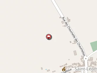 Carte de Mairie à Saint-léomer