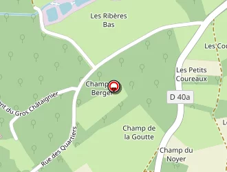 Carte de Bors Alain à Cuzion