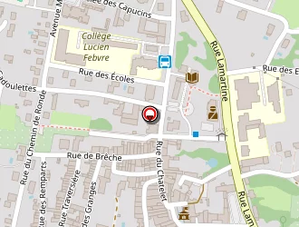 Carte de Le Chatelet Fleuri à Saint-amour