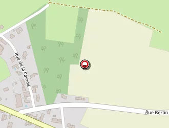 Carte de Renault Briffaud Patrick à Saint-pompain