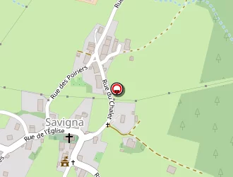 Carte de Den'elec à Savigna