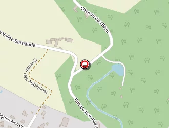 Carte de Sentier D'auzay à Auzay