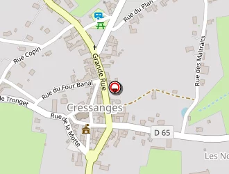 Carte de Perrier Véronique à Cressanges