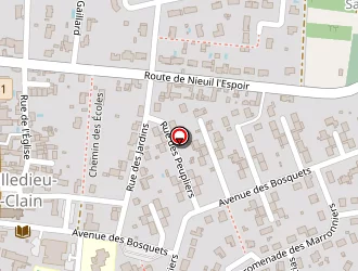 Carte de Chaignault Jacky à Villedieu-du-clain (la)