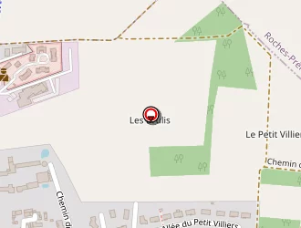 Carte de Marchand Mickaël à Villedieu-du-clain (la)