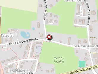 Carte de Morel Dominique à Saint-trivier-de-courtes