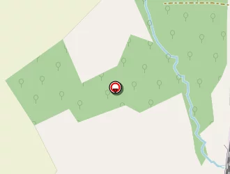 Carte de De Tarcay (gaec) à Marçay