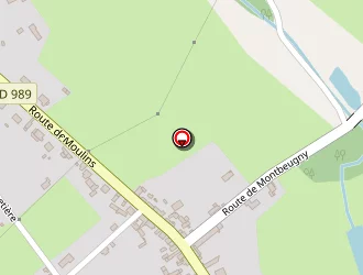 Carte de Bambou Fleurs à Neuilly-le-réal