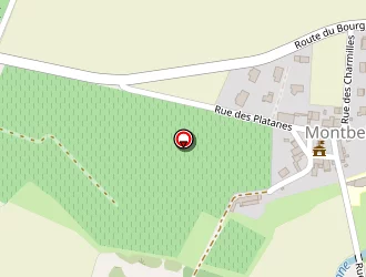 Carte de Robin Romain à Montbellet