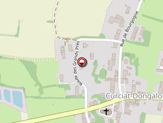 Carte de Prely Emmanuelle à Curciat-dongalon