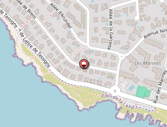 Carte de Arexfi à Château-d'olonne