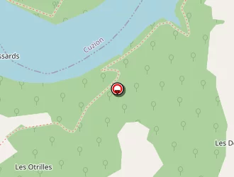 Carte de Huijgens Johannès à Baraize