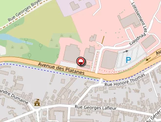 Carte de Buchery Opticien Vision Plus Adhérent à Digoin