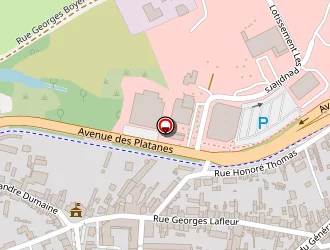 Carte de Centre D'animation Municipal à Digoin