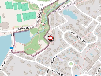 Carte de R.l Color à Château-d'olonne