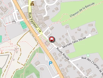 Carte de Restaurant Le Flocon à Rousses (les)