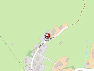 Carte de Entreprise Fourtier Sylvain à Sarrogna