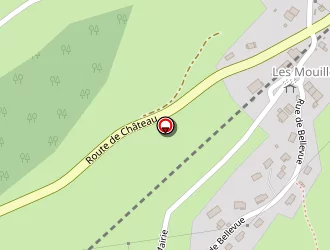 Carte de Virey Jérôme à Lézat