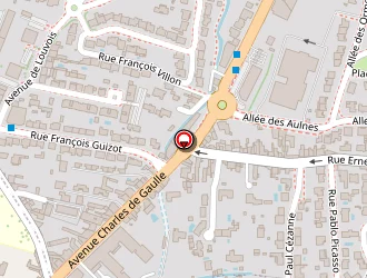 Carte de Vert Tige à Olonne-sur-mer