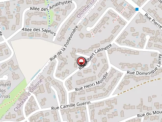 Carte de Robin Delphine à Château-d'olonne