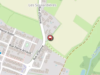 Carte de Elect'ric à Château-d'olonne