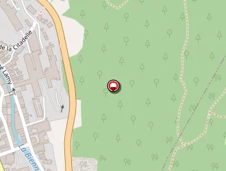 Carte de Maxi-service à Morez