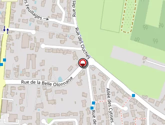 Carte de Masson Xavier à Olonne-sur-mer