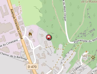 Carte de Mairie à Orgelet