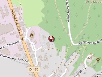 Carte de Sogepeint à Orgelet