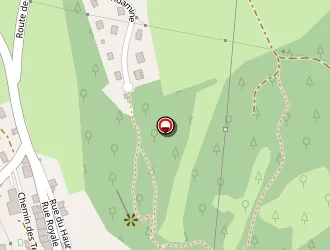 Carte de Vernier Pascal à Tour-du-meix (la)