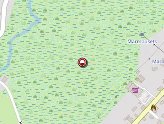 Carte de La Poste à Bois-d'amont