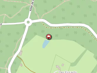 Carte de Auberge De La Forêt à Mervent