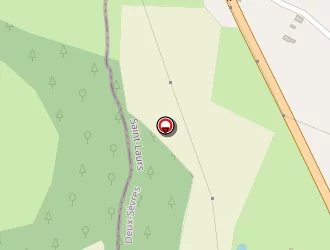 Carte de Nalin Thierry à Saint-laurs