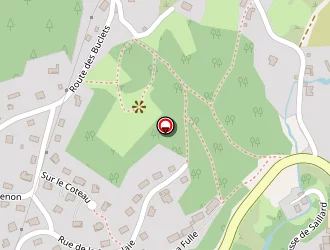 Carte de Camille Berthet à Morbier