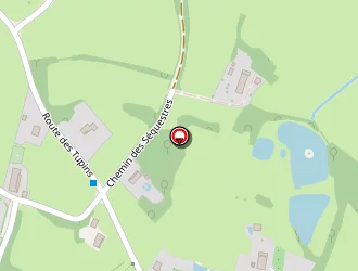 Carte de Emde à Miroir (le)