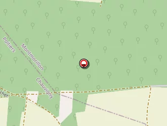 Carte de Dupuis Muriel à Chauvigny